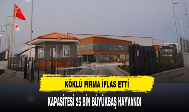 74 YILLIK KÖKLÜ FİRMA İFLAS ETTİ EKONOMİ Afyon Türkeli Gazetesi